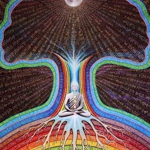 Meet your Posher, Corynn